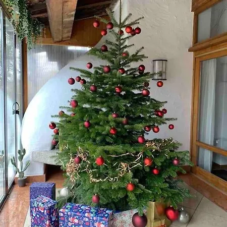 Whole Munich, Alps View, Quiet And Spacious * Feldkirchen-Westerham