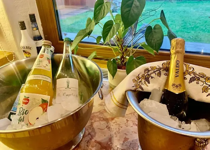 Whole Munich, Alps View, Quiet&spacious Villa